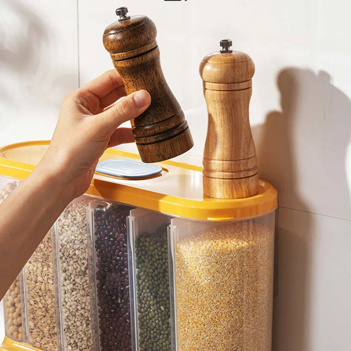 Wall-Mounted Sealed Food Dispenser and Storage